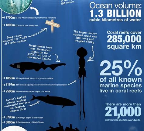 Pinterest Infographics How Deep Is The Ocean