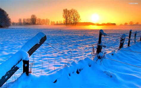 Winter Fence Wallpapers Top Free Winter Fence Backgrounds