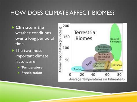 Ppt Biomes Of The World Powerpoint Presentation Free Download Id
