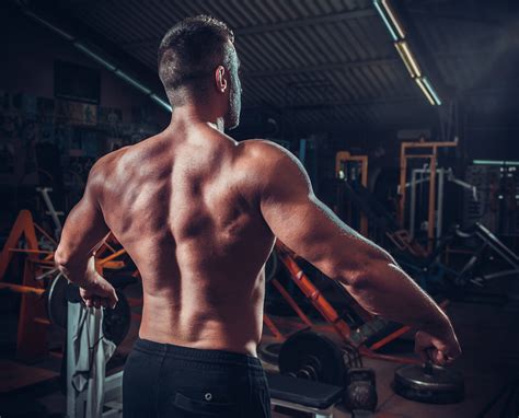 Ultimate Guide To Best Back Workout Routine