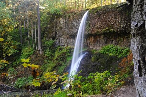 Silver Falls State Park Usa Parks Waterfalls Crag Hd Wallpaper