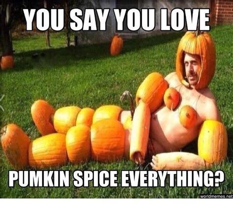 Pin By Amanda Carter On Random Funny Halloween Pictures Funny Halloween Memes Halloween Memes