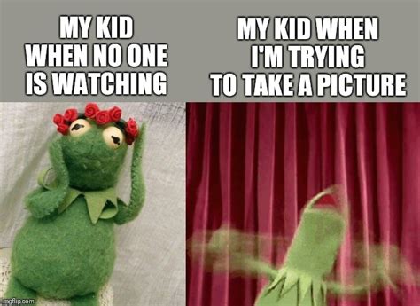 Image Tagged In Kermit The Frog Imgflip