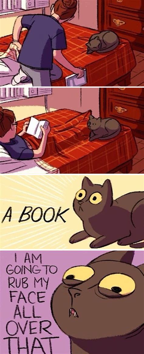20 Pictures That Perfectly Demonstrate Cat Logic Pulptastic