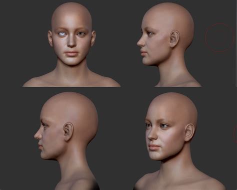 Four Different Views Of A Human Head