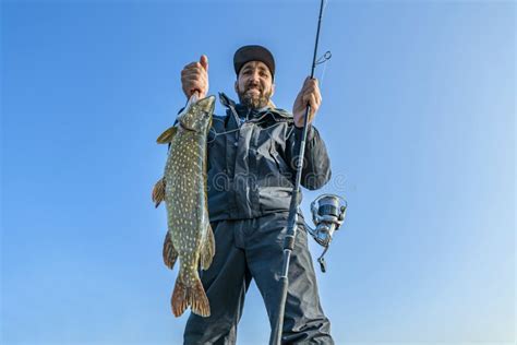 Success Pike Fishing Happy Fisherman With Big Fish Trophy And Spinning