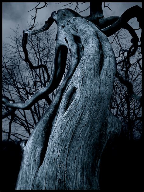 The Dark Tree By X Horizon On Deviantart