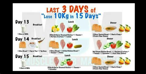 Menu Diet Lose 10kg 10 Day Diet 10 Day Diet Plan