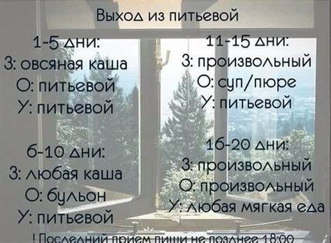 Любимая диета питьевая