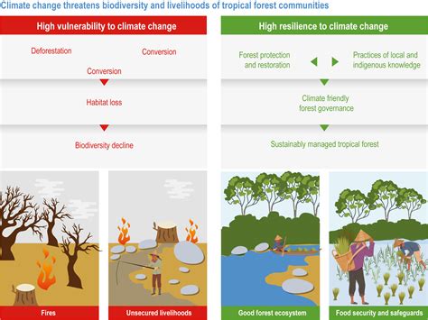 Cross Chapter Paper 7 Tropical Forests Climate Change 2022 Impacts