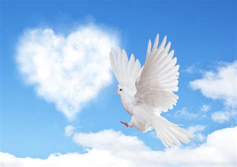 Blue Sky With Hearts Shape Clouds And Dove Stock Image Image 66946641