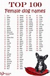 Female Dog Names and How to Choose One | Dog names, Female dog names ...