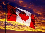 Flagge von Kanada - die Geschichte und Bedeutung von Blumen. Was ...