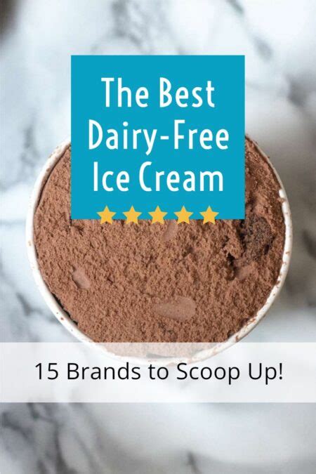 The Best Dairy Free Ice Cream Pints To Scoop Up Vegan Too