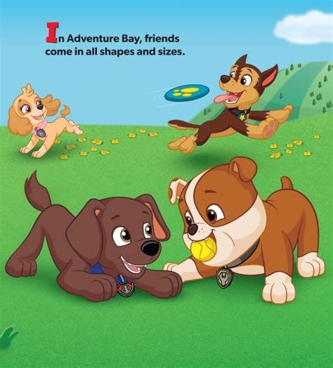 Best Furry Friends Paw Patrol Author Random House Illustrated By