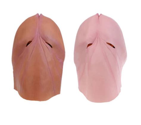 Willy Head Mask Latex Penis Mask Dickhead Hen Stag Party Prank Joke Prop EBay