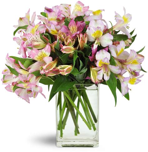 Maybe you would like to learn more about one of these? http://www.flowernow.com/jersey-city-flowers/lively-lilies ...