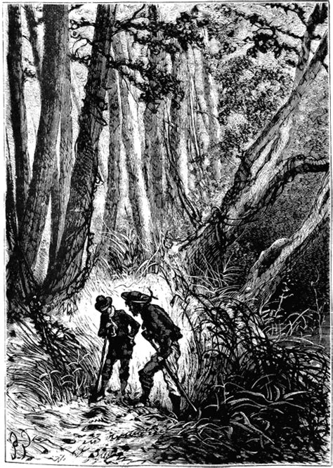 Men Sex In Forest Telegraph