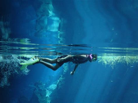 Cave Diving Cozumel Snorkeling Cenotes Best Places To Travel