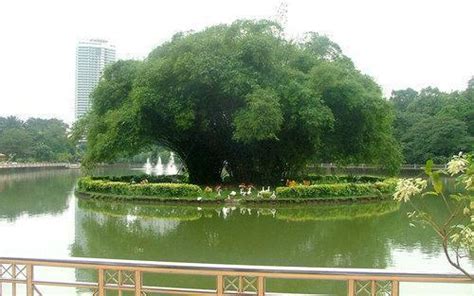 Lake gardens, perdana lake gardens, public gardens (en). KL Central Park - The Lake Gardens (Perdana Botonical ...