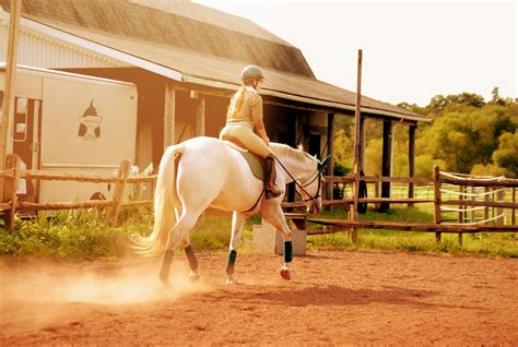 Equestrian | Equestrian life, Equestrian, Horse rider
