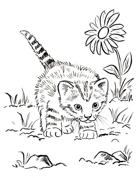Cat Coloring Page Free Printable - 126+ File SVG PNG DXF EPS Free
