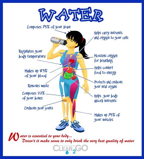 Benefits Of Drinking Water Why Drink Water Benefits Of Drinking