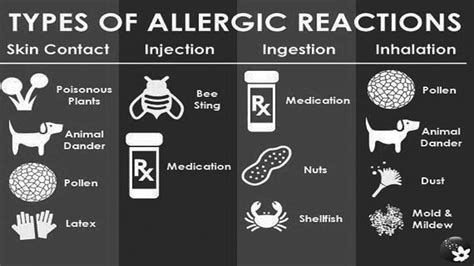 Allergies Types Online Journal Allergy Types Allergies