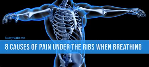 Rib Cage Anatomy Back Rib Pain With Breathing Physiot