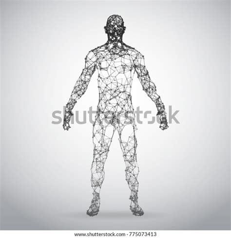 Abstract Wire Frame Human Body Polygonal Stock Vector Royalty Free