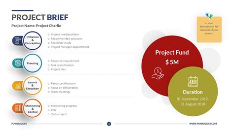 Project Brief Report Template