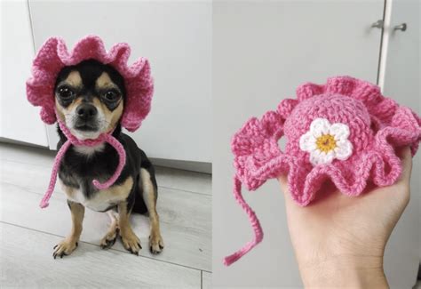 10 Cute Crochet Dog Hat Patterns To Make For Your Pup Easy Crochet