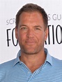 Michael Weatherly Posts Cryptic Tweet about Ziva and Tony Reunion and ...
