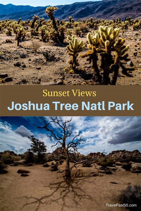 Desert Sunset Keys View Joshua Tree California Travel Past 50