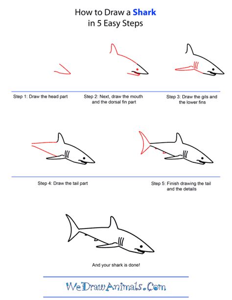 Free How To Draw A Shark Download Free How To Draw A Shark Png Images