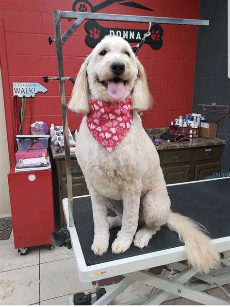Von Aries Kennels Boarding Grooming And Training Pet Groomer Fort