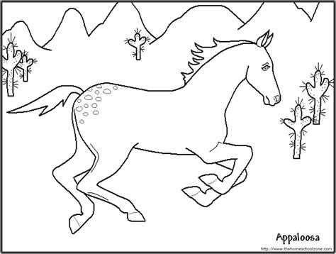 Appaloosa Horse Drawing At Getdrawings Free Download