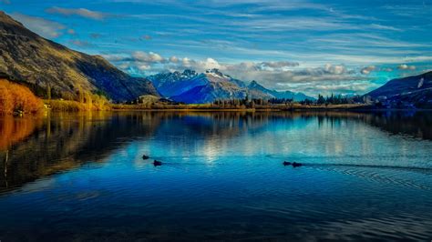 New Zealand Beach Desktop Wallpapers