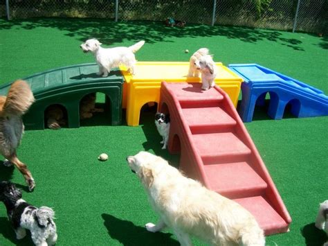 Puppy Playground Equipment And Turf Puppy Playground Dog Playground