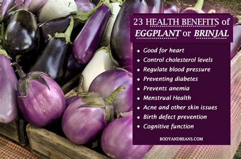 Check spelling or type a new query. 23 Health Benefits of Eggplant That You May Not Be Aware ...