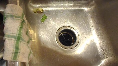 Unfortunately, i just assumed that i could here's a list of food scraps that cannot be put down the garbage disposal, plus tips for getting the most of that handy disposer in your kitchen sink… Clogged Sink - How to Fix a Garbage Disposal (Disposer ...