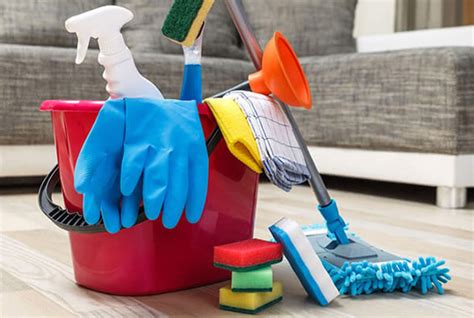 empleados as para limpieza de casas disponibilidad inmediata