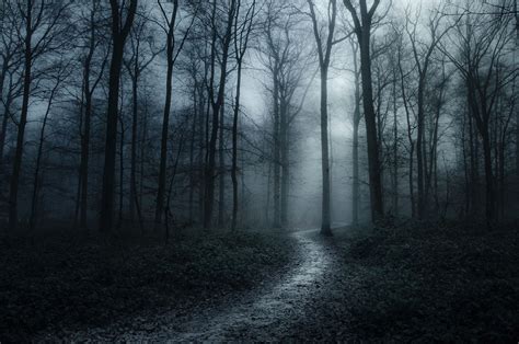 The Escape A Path Leading Towards The Light In A Spooky Forest In The