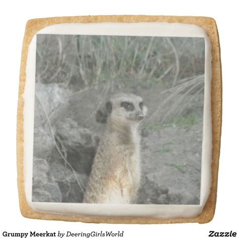 Grumpy Meerkat Square Shortbread Cookie Shortbread Cookies Animal