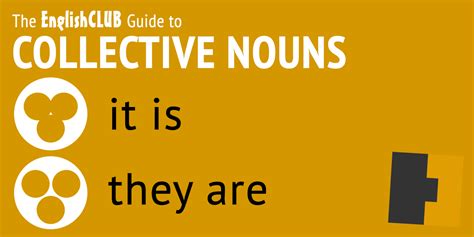 Collective Nouns Learn English