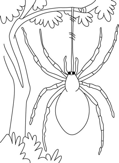 Find & download the most popular spider web vectors on freepik free for commercial use high quality images made for creative projects. Spider Hang On Spider Web In The Jungle Coloring Page ...