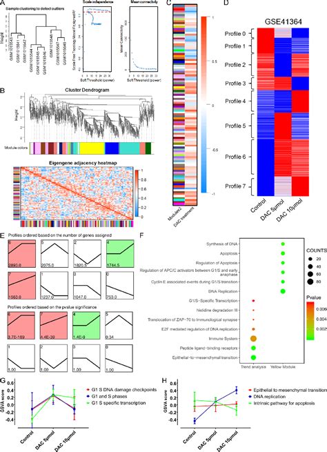 Figure From Reactivation Of Oncogenes Involved In G S Transcription