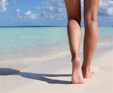 legs on tropical sand beach walking female feet stock image image of pretty activity 35468451