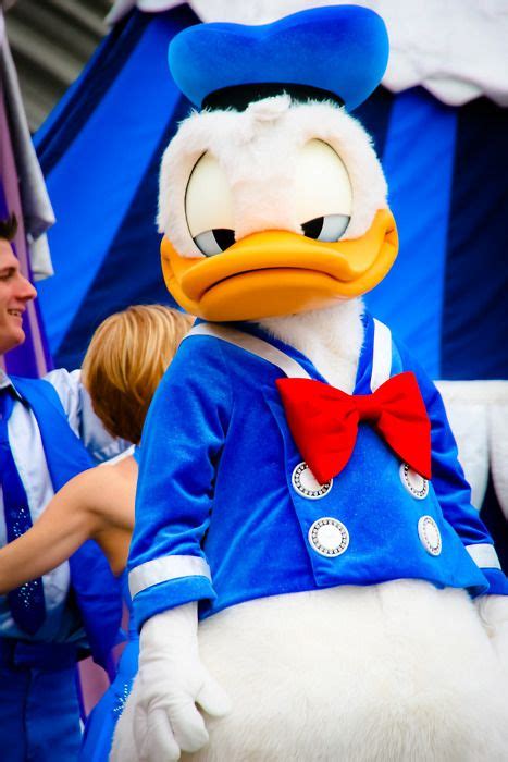 Fun Facts About Donald Duck You Never Knew