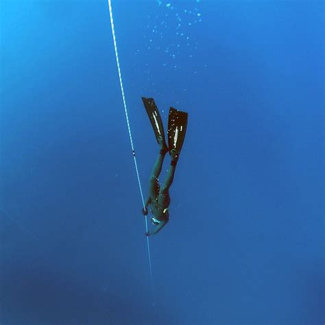 Free Photo Freediving Deep Underwater Water Free Image On Pixabay